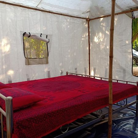 Nature Trail Camps & Homestay Dzsódhpur Kültér fotó