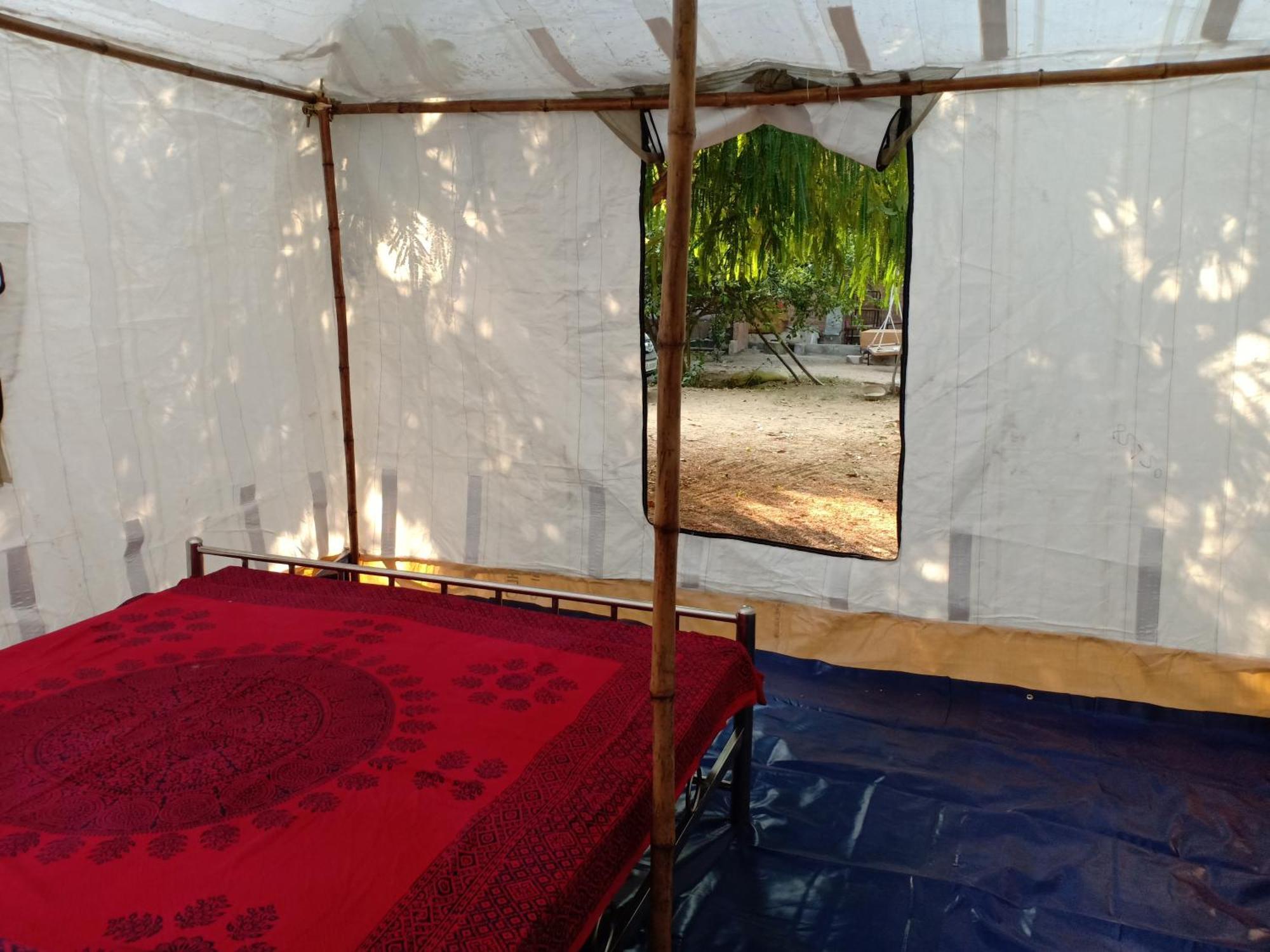 Nature Trail Camps & Homestay Dzsódhpur Kültér fotó
