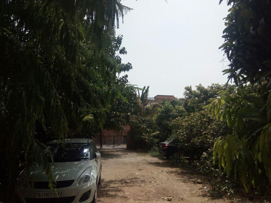 Nature Trail Camps & Homestay Dzsódhpur Kültér fotó