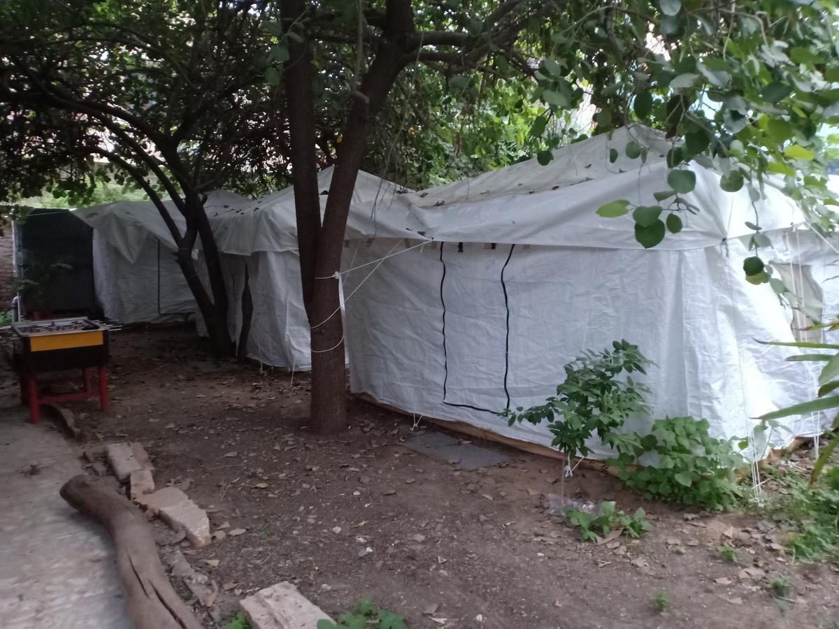 Nature Trail Camps & Homestay Dzsódhpur Kültér fotó