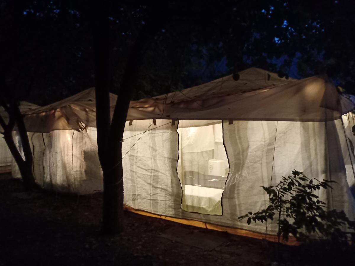 Nature Trail Camps & Homestay Dzsódhpur Kültér fotó