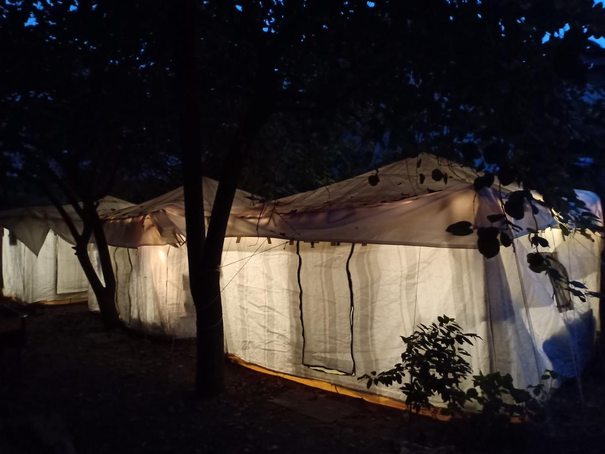 Nature Trail Camps & Homestay Dzsódhpur Kültér fotó