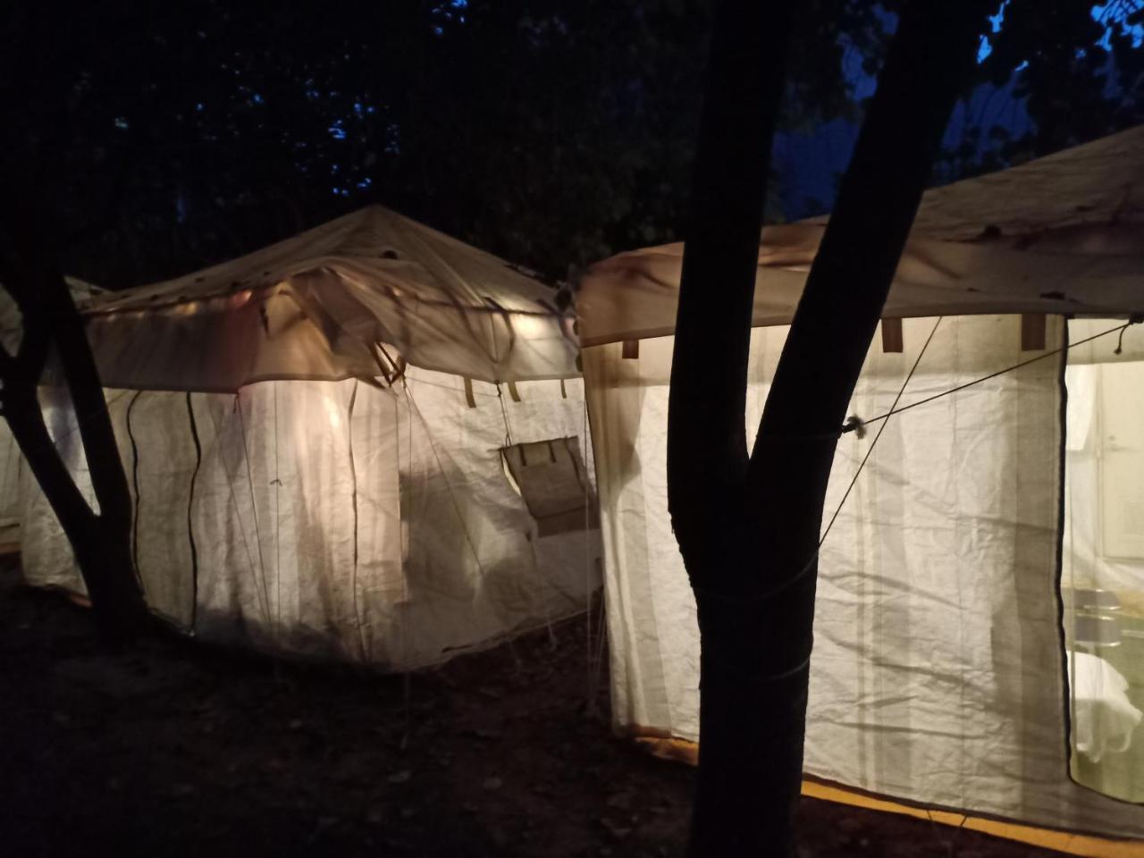 Nature Trail Camps & Homestay Dzsódhpur Kültér fotó