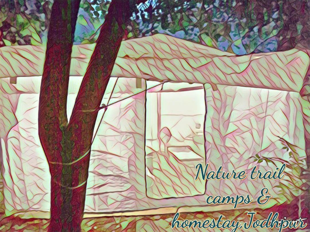 Nature Trail Camps & Homestay Dzsódhpur Kültér fotó