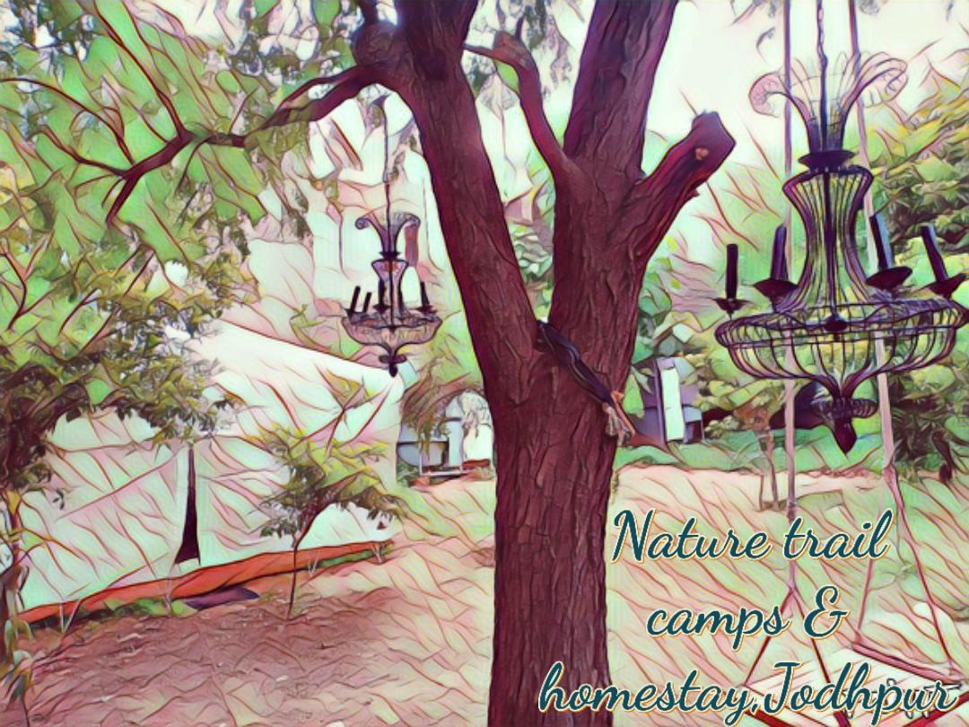 Nature Trail Camps & Homestay Dzsódhpur Kültér fotó