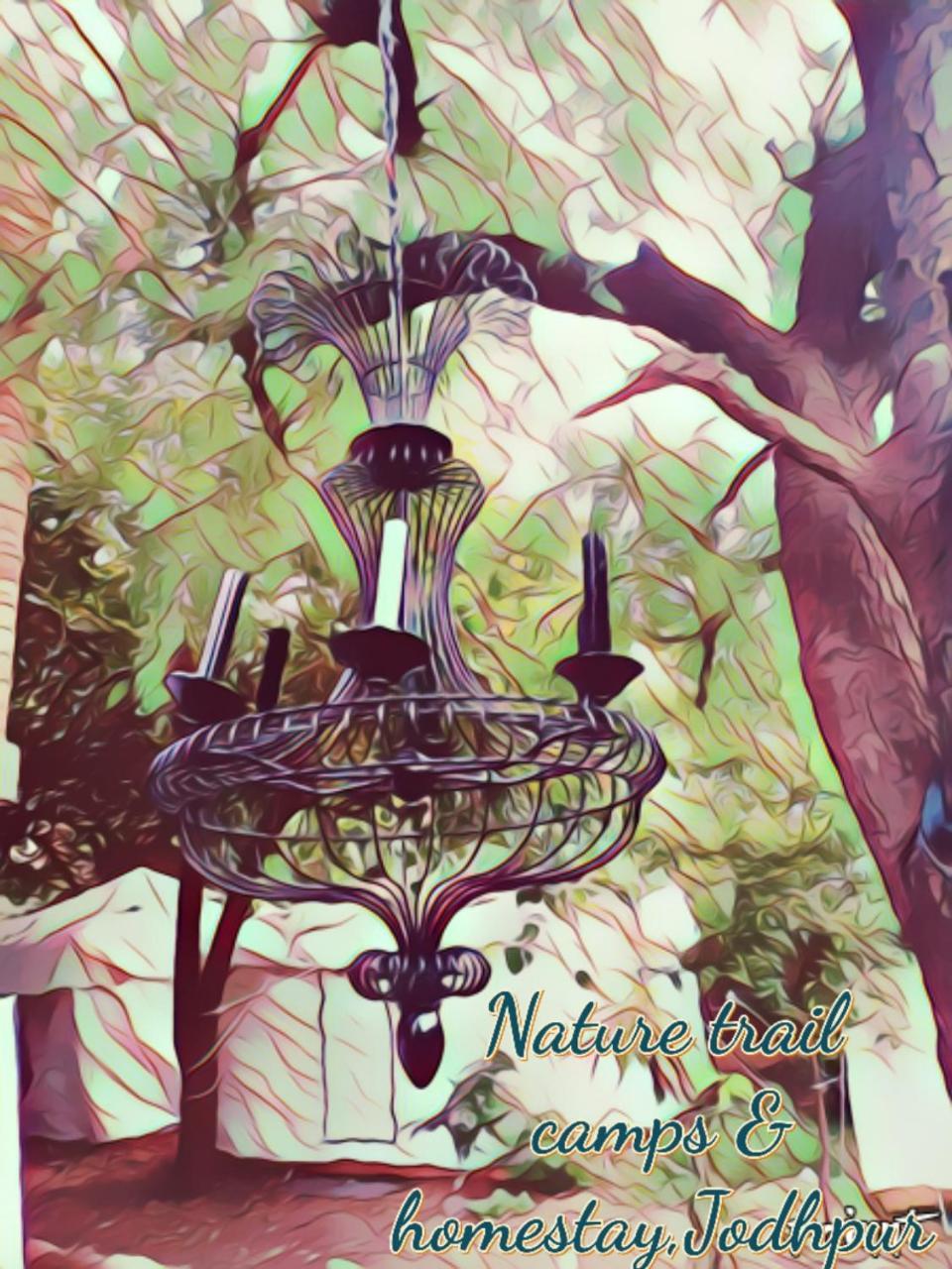 Nature Trail Camps & Homestay Dzsódhpur Kültér fotó