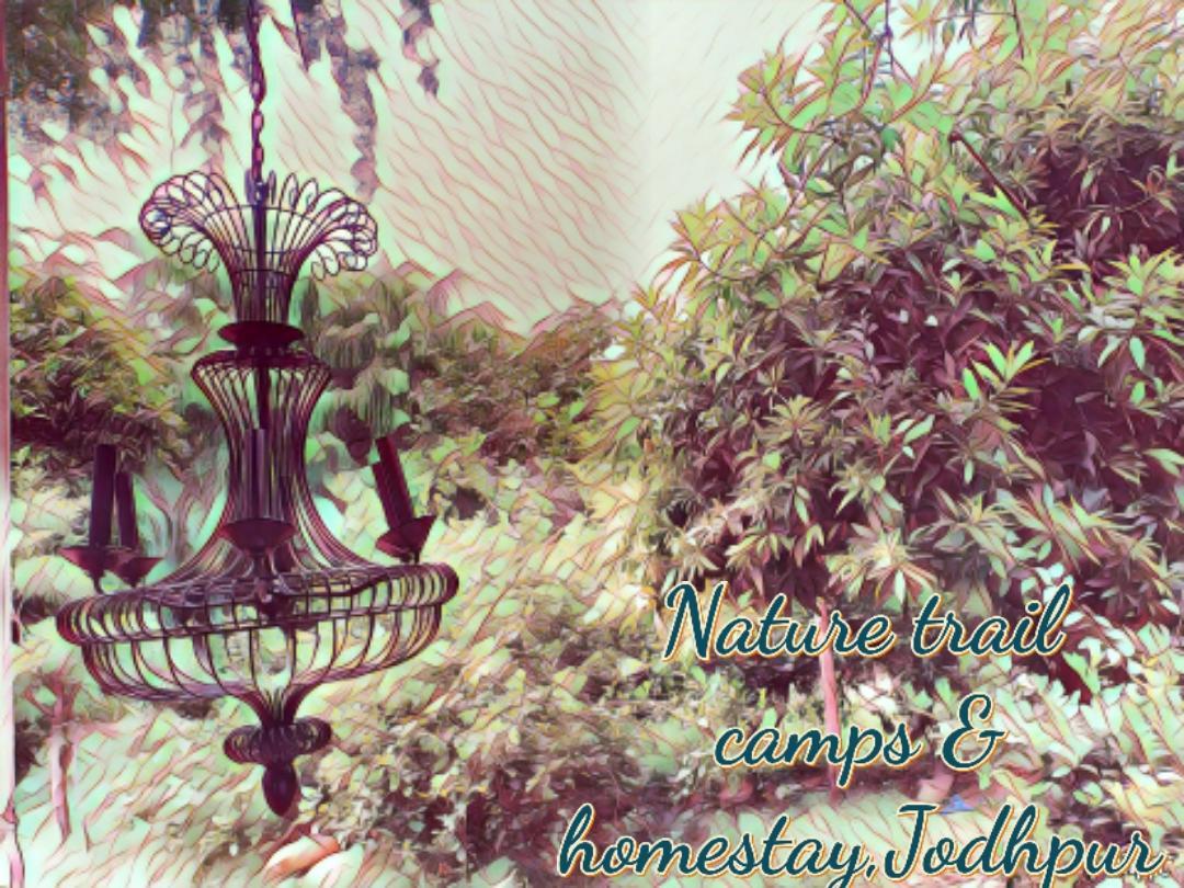 Nature Trail Camps & Homestay Dzsódhpur Kültér fotó