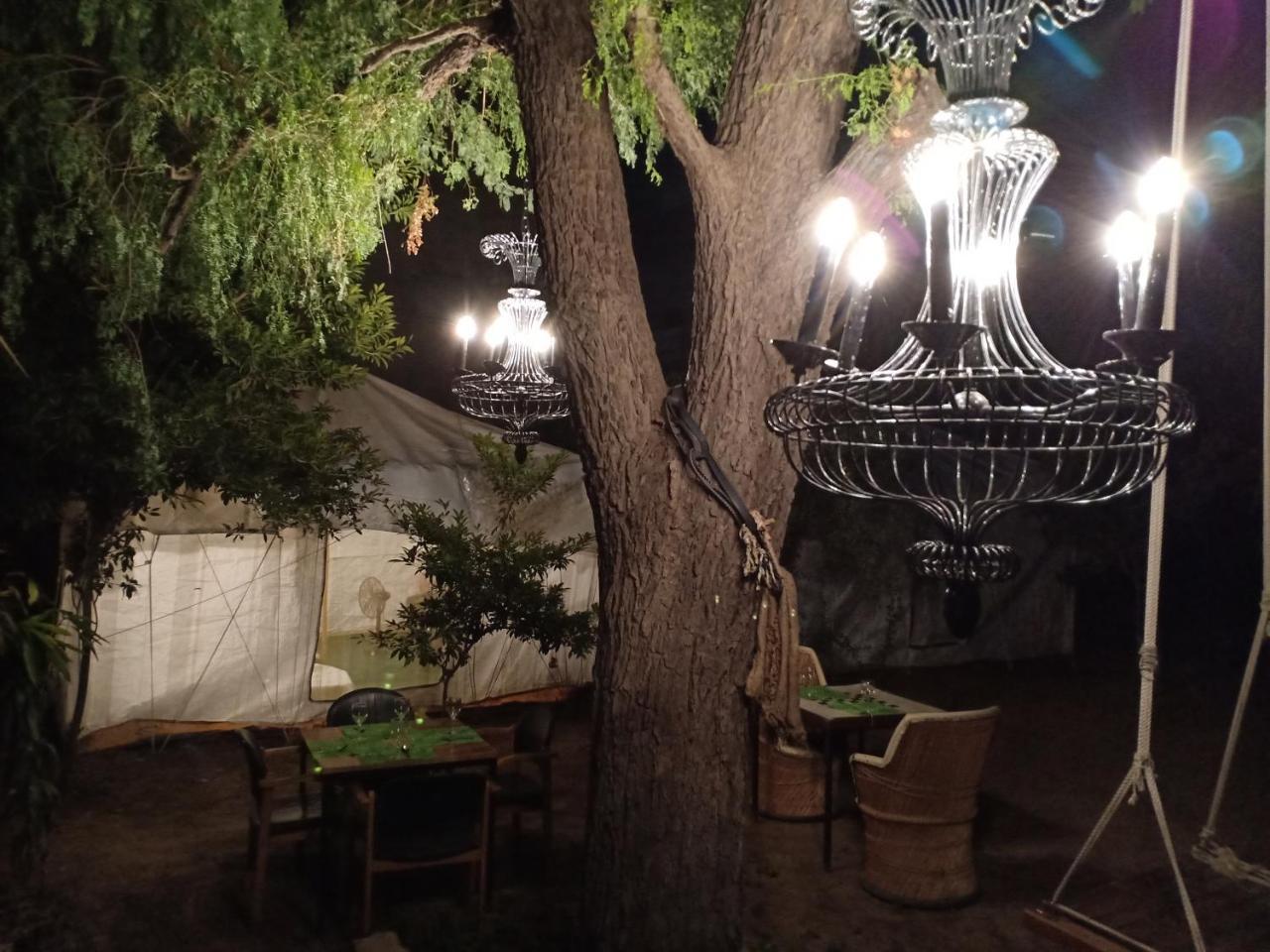 Nature Trail Camps & Homestay Dzsódhpur Kültér fotó