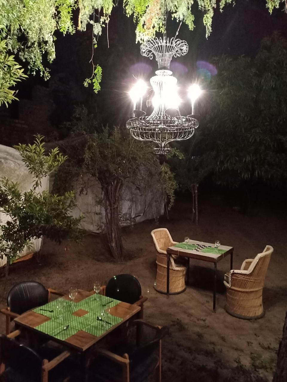 Nature Trail Camps & Homestay Dzsódhpur Kültér fotó