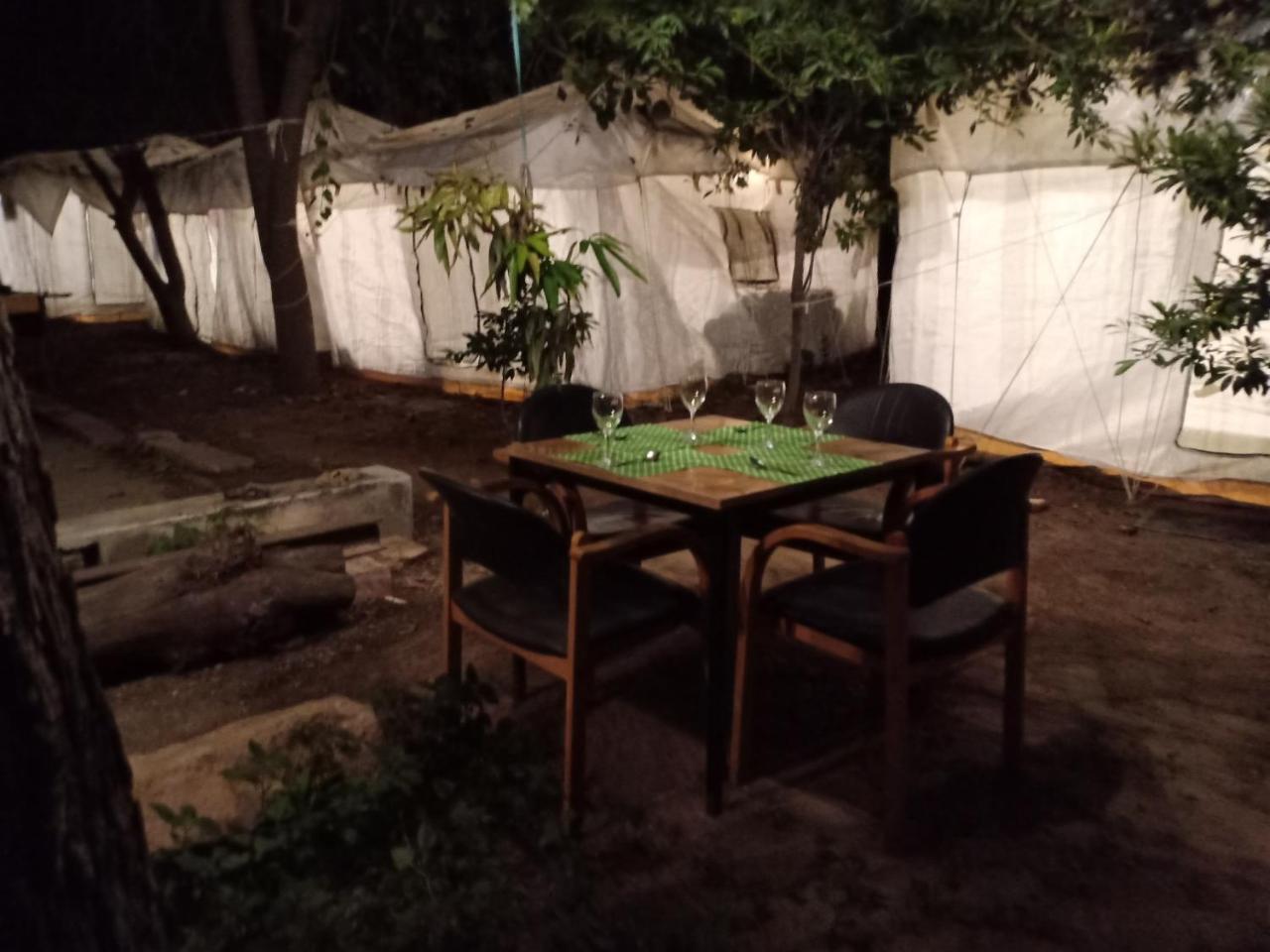 Nature Trail Camps & Homestay Dzsódhpur Kültér fotó